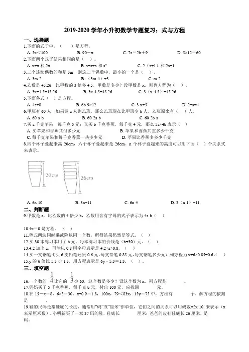 -学年小升初数学专题复习：式与方程（含解析）
