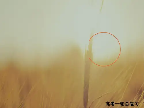 2018版高考一轮总复习物理课件 第11章 交变电流 传感器 11-1 精品