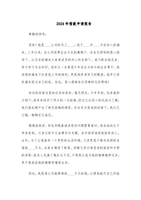 2024年借款申请报告（三篇）