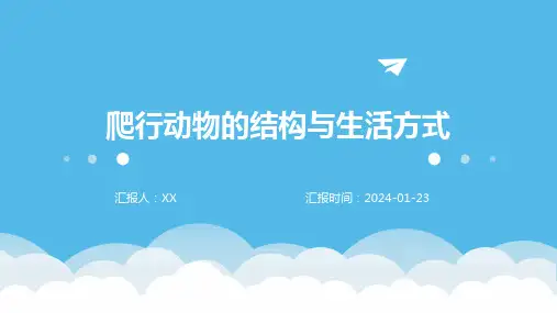 爬行动物的结构与生活方式