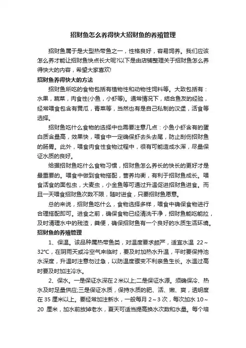 招财鱼怎么养得快大招财鱼的养殖管理