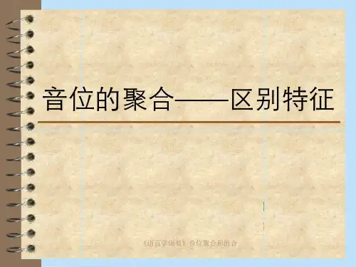 《语言学纲要》音位聚合和组合