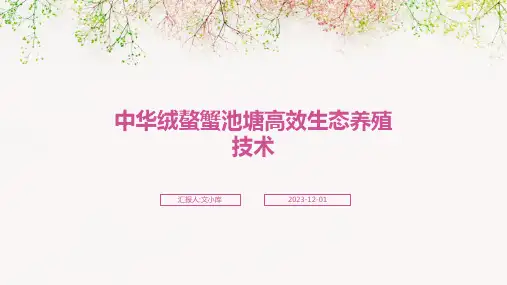 中华绒螯蟹池塘高效生态养殖技术