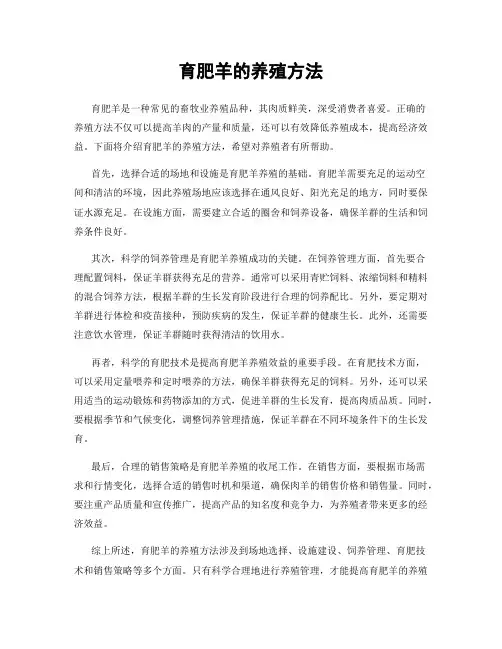 育肥羊的养殖方法