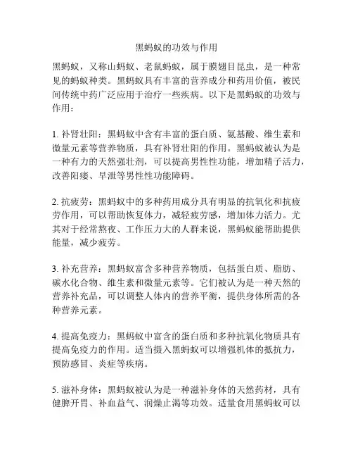 黑蚂蚁的功效与作用