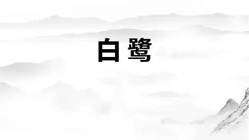 《白鹭》PPT优秀教学课件