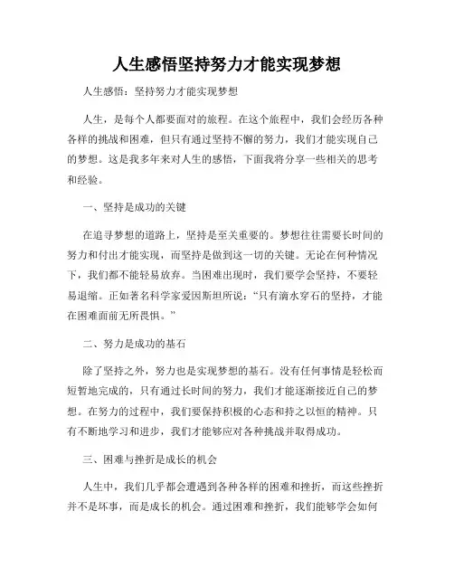 人生感悟坚持努力才能实现梦想