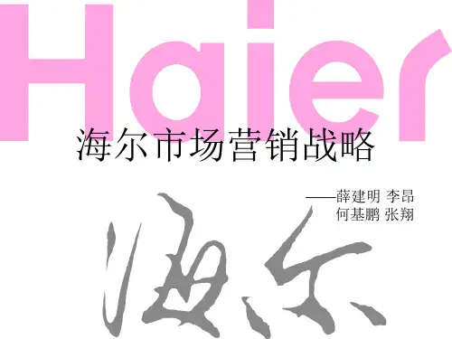 市场营销案例分析海尔