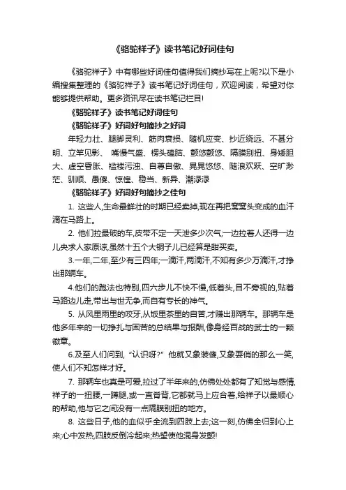 《骆驼祥子》读书笔记好词佳句