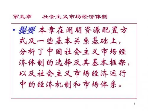 《政治经济学教学资料》第九章 社会主义市场经济体制(合订版)