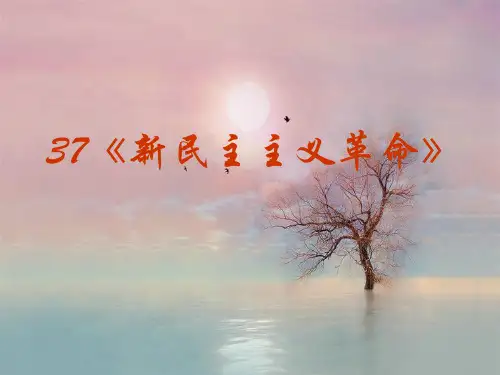 新民主主义革命PPT精品课件