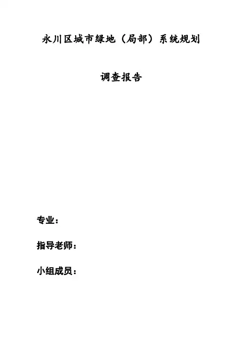 调查报告