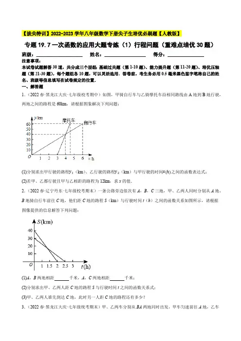 初中数学一次函数的应用大题专练《行程问题》重难点培优30题原卷