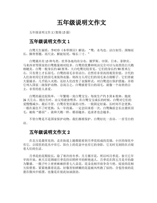 五年级说明文作文