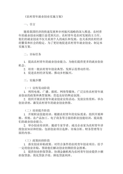 农村青年就业创业实施方案