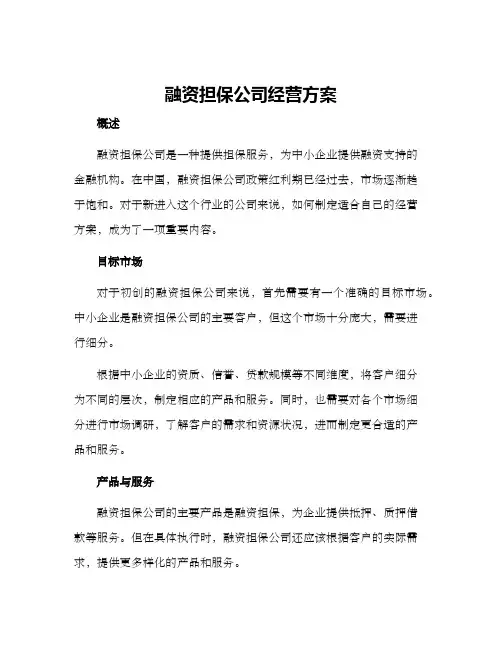 融资担保公司经营方案