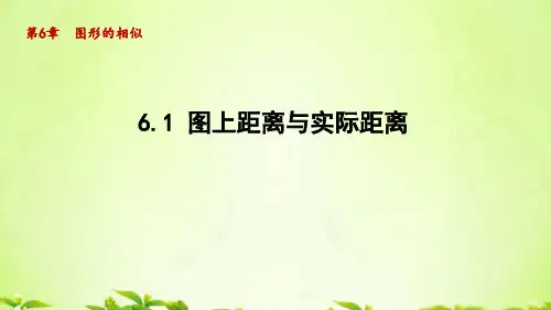 苏科版九年级数学下册_6.1图上距离与实际距离