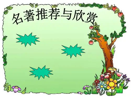 汤姆索亚历险记完整精美ppt课件