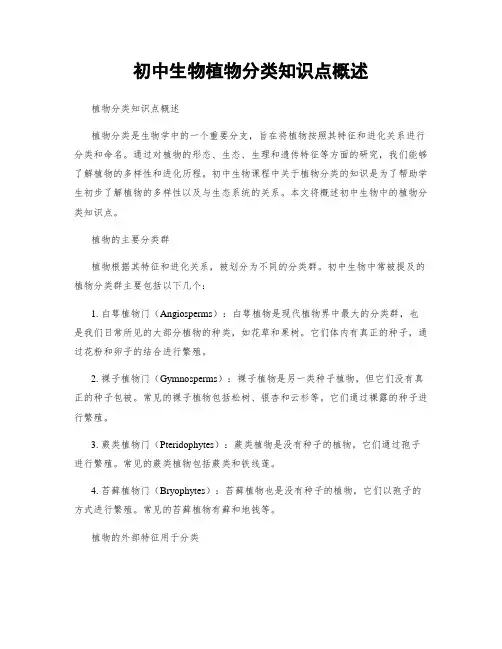 初中生物植物分类知识点概述