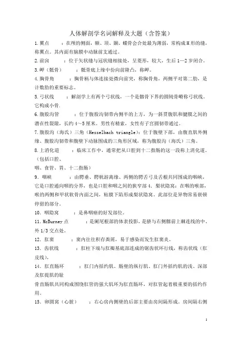 《人体解剖学》名解及大题