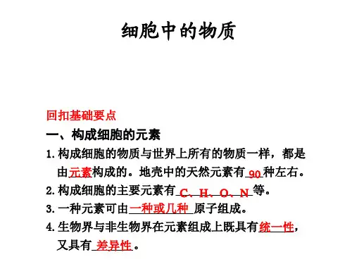 细胞中的物质