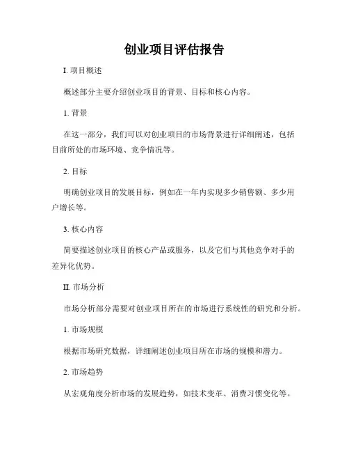 创业项目评估报告