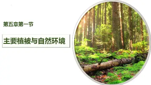 高中地理湘教版(2019)必修一5