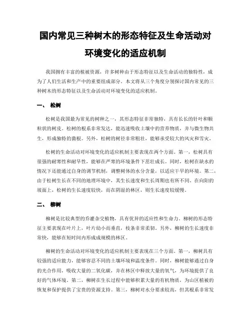 国内常见三种树木的形态特征及生命活动对环境变化的适应机制