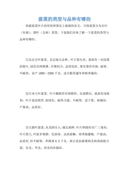 菠菜的类型与品种有哪些