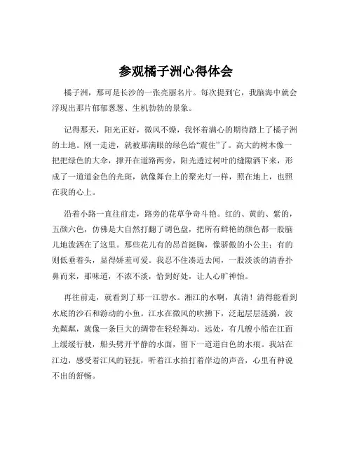 参观橘子洲心得体会
