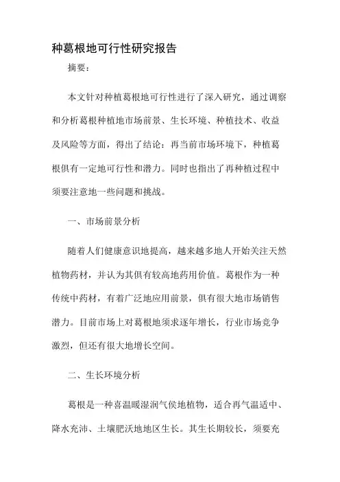 种葛根的可行性研究报告