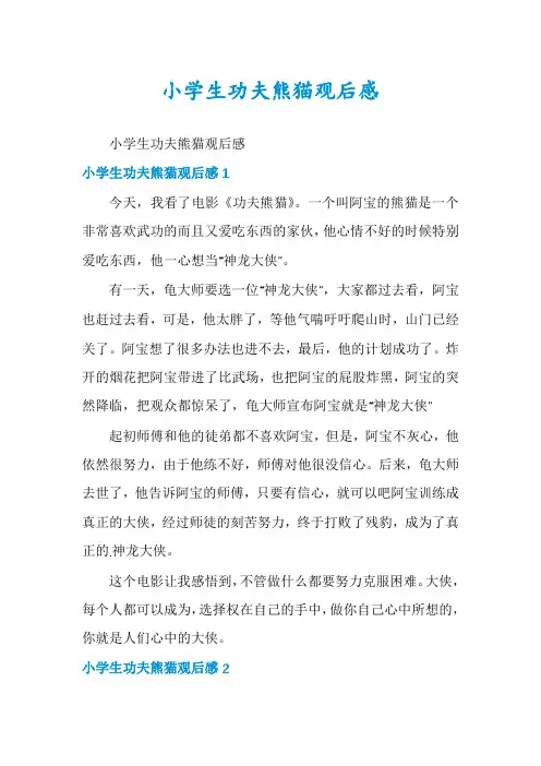 小学生功夫熊猫观后感