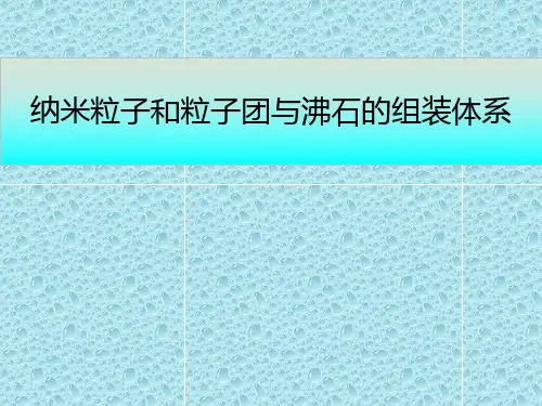 第十一章纳米粒子和粒子团与沸石的组装体系