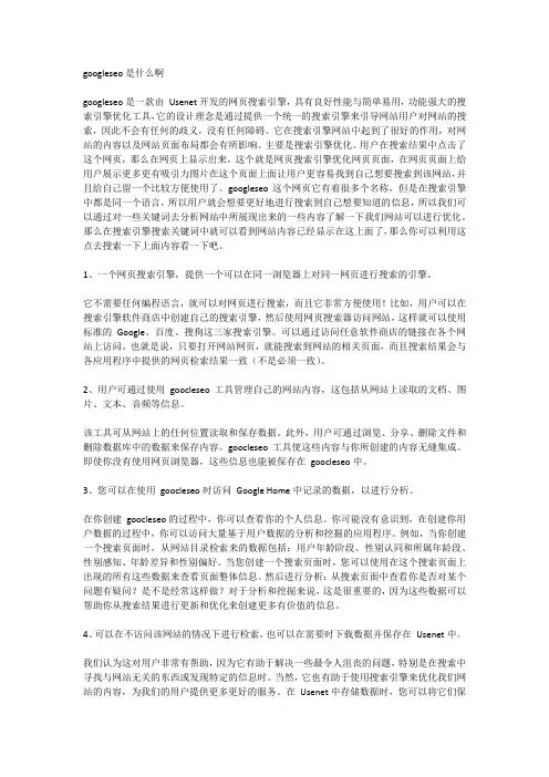 googleseo是什么啊