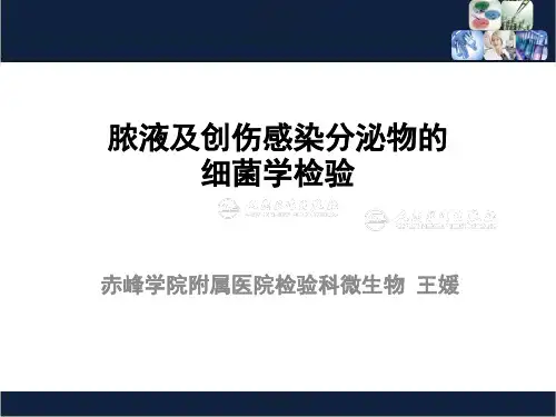 脓液及创伤感染分泌物的细菌学检验