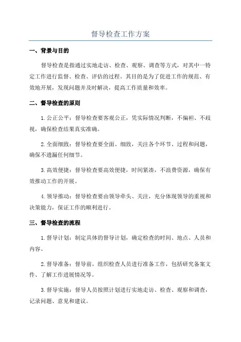 督导检查工作方案