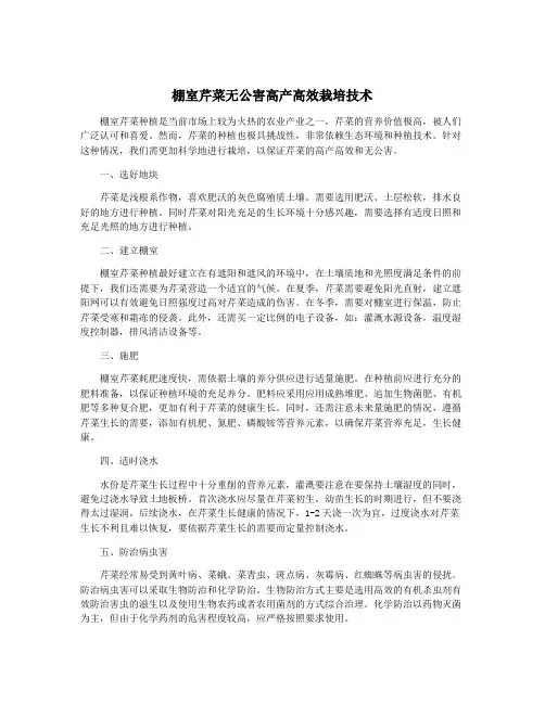 棚室芹菜无公害高产高效栽培技术