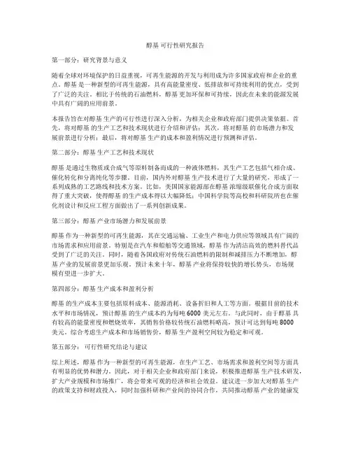 醇基 可行性研究报告