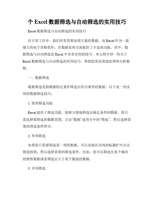 个Excel数据筛选与自动筛选的实用技巧