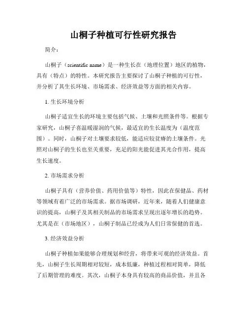 山桐子种植可行性研究报告
