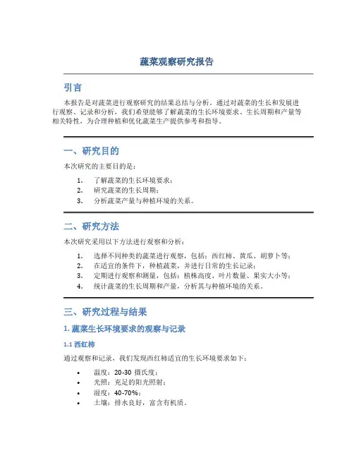 蔬菜观察研究报告