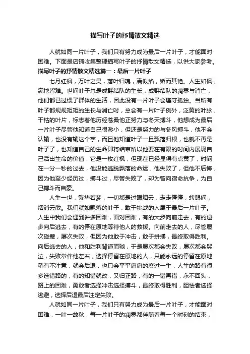 描写叶子的抒情散文精选