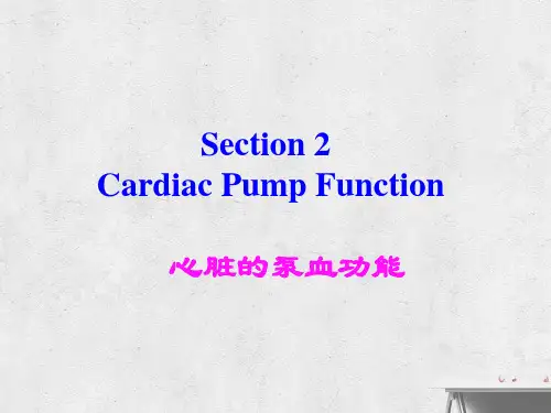 血液循环精品课件2.ppt