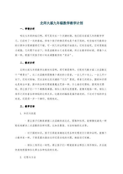 北师大版九年级数学教学计划