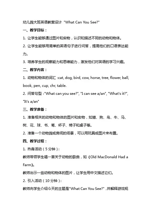 幼儿园大班英语教案设计What can you see
