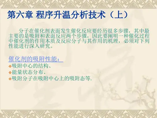 第六章 程序升温分析技术(上)