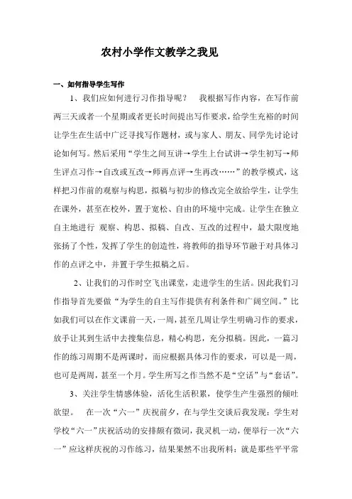 农村小学作文教学之我见