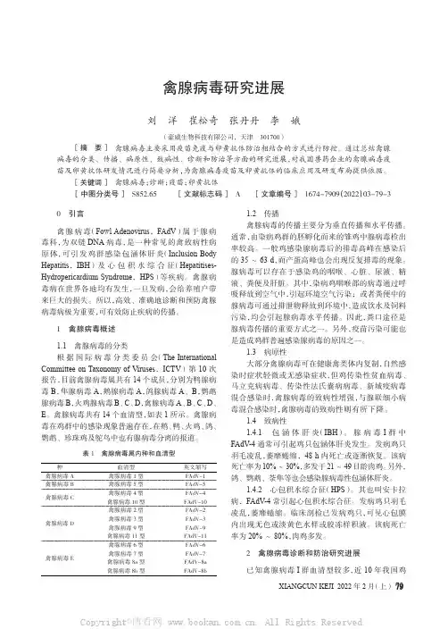 禽腺病毒研究进展