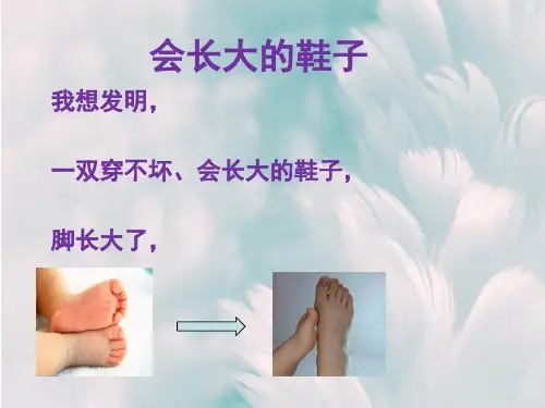 中班语言活动会长大的鞋子ppt课件