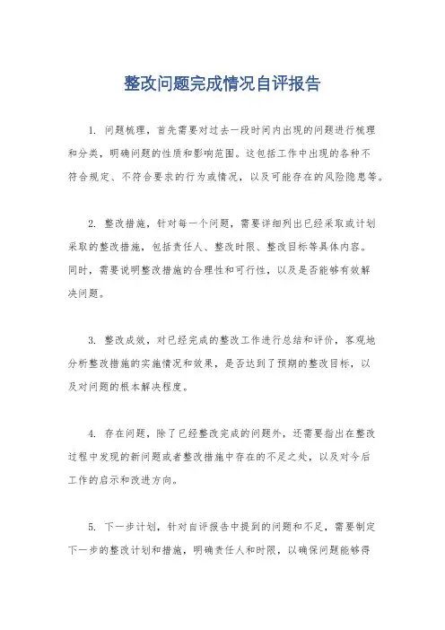 整改问题完成情况自评报告